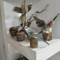 مجسمه|مجسمه، تندیس، ماکت|ایلام, |دیوار