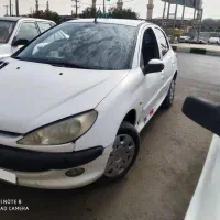 پژو ۲۰۶تغییر رنگ قانونی