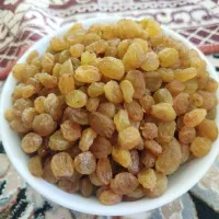 کشمش پاک کرده|خوردنی و آشامیدنی|شیروان (خراسان), |دیوار
