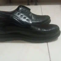 کفش|کیف، کفش، کمربند|صدرا-فارس, فاز ۱|دیوار