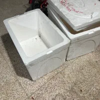 ۵۰تا کایوچو ماهی در حد نو