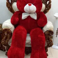 ب دلیل کمبود جا