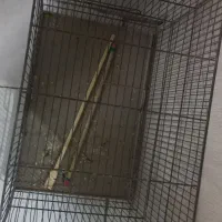 قفس پرنده|لوازم جانبی حیوانات|تهران, مینای شمالی (مخبر)|دیوار