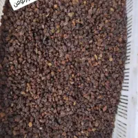 کشمش مویزآفتاب خشک|خوردنی و آشامیدنی|اهواز, زردشت|دیوار