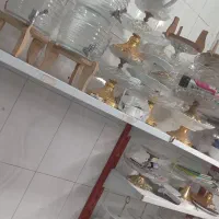 کرایه چی وخدمات رفاهی مجالس اجاره میزوصندلی وباند|خدمات پذیرایی، مراسم|اسفراین, |دیوار