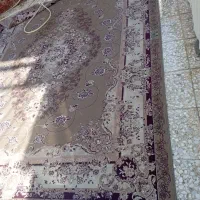 فرش ۹متری زمینه گردویی|فرش|شاهین‌شهر, فیض|دیوار