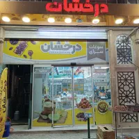 استخدامی نیروی کار