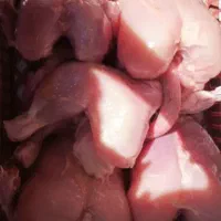 تلفات مرغ غذای سگ وگربه