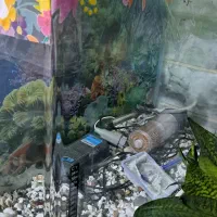 آکواریوم شیشه خم