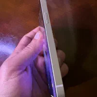 Iphone 13|موبایل|ساری, |دیوار