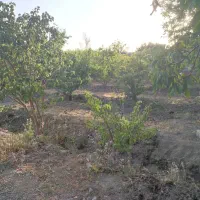 باغ-به-متراژ-430متر