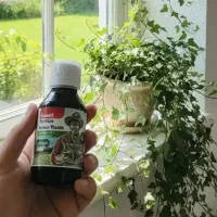 معجون محرک رشد گیاه دکتر بیز