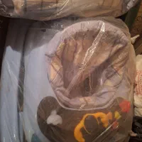 کالسکه و روروئک