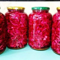 ترشی خانگی و غذای خانگی
