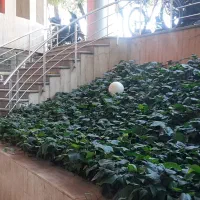 اجاره مغازه ۷۵ متری هشت بهشت غربی