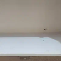 کتابخانه،قفسه اسباب بازی|کتابخانه، شلف، قفسههای دیواری|تبریز, |دیوار