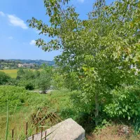 زمین مسکونی سندتک برگ و پروانه ساخت،مشاور اسماعیلی|فروش زمین و ملک کلنگی|شیرگاه, |دیوار