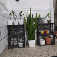 کارگر ساده کامل بخون همه چیز گفته شده