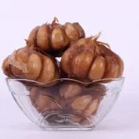 سیر ترشی۷ساله