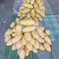 به یک همکار اشنا به کار میوه فروشی نیاز مندیم