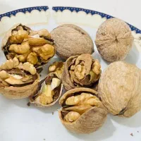 گردوی  سفید  و درجه یک  تویسرکان