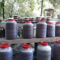 عسل طبیعی و ارگانیک دشت لار و لواسان