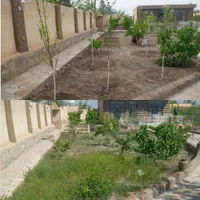 باغبانی هرس گل و نهال کاری جابجایی نهال درخت