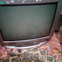 تلوزیون