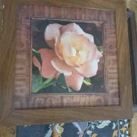 قاب عکسهای زیبا