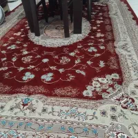 سه عدد فرش|فرش|لاهیجان, بازکیاگوراب|دیوار