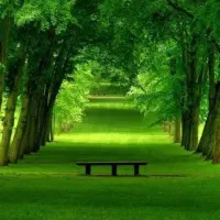 سیم‌کارت خط رند