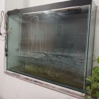 آکواریوم|ماهی|لنگرود, |دیوار