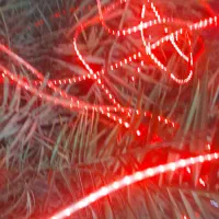 لامپ شیلنگی نئون دل جیگر کتف و بال و چلنیوم جگر دل