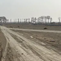 یک هکتار زمین با ۳ساعت اب و..به فروش میرسد|فروش زمین و ملک کلنگی|تنکمان, |دیوار