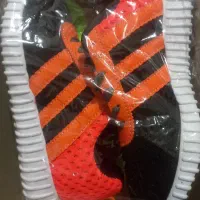 کفش سایز 38 نو|کیف، کفش، کمربند|پاکدشت, پارچین|دیوار