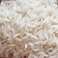 برنج طارم اصل شمال