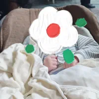 کریر و روروئک و کالسکه