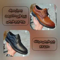 کفش چرم طبیعی مردانه (فوق‌العاده) درجه 1|کیف، کفش، کمربند|گرگان, |دیوار
