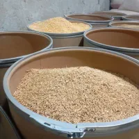 خوراک دام .گندم .ارزن.وغیره.