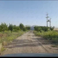 فروش یا تهاتر گلخانه|فروش دفتر صنعتی، کشاورزی، تجاری|کرمانشاه, |دیوار