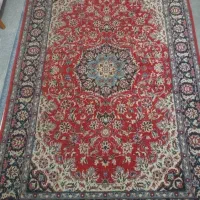 فرش ۶ متری|فرش|شیراز, اصلاح‌نژاد|دیوار