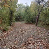 باغچه نقلی ۲۵۰ متری داخل شهرگلمکان