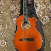 گیتار کلاسیک واشبرن کاتوی پیکاپ دار