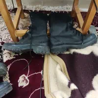 پوت43دو عدد سالم شماره 43