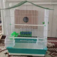 قفس عروس هلندی