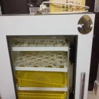 دستگاه جوجه