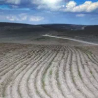 21هکتار دیم روستای چوملو  اجاره یاشراکتی جهت نخود