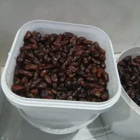 خرما|خوردنی و آشامیدنی|اهواز, دغاغله|دیوار
