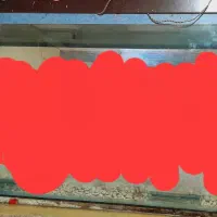 اکواریوم نشکن بزرگ. تخفیف هم. داده میشه