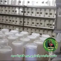 ماست تازه (لبنیات لاهوت سید )|خوردنی و آشامیدنی|قم, جمکران|دیوار